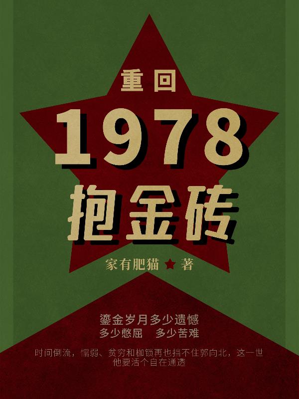 重回1978全集完结